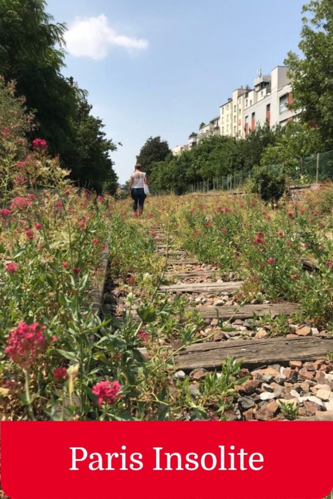 Paris en été : un enchantement estival. 1 Paris en été les activités à pratiquer