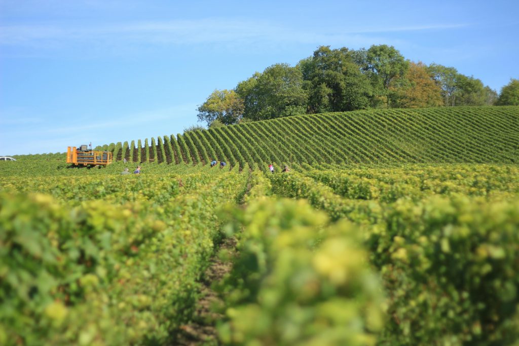 Top 5 des escapades à moins d'une heure de train depuis Paris 8 Visites de caves . Tourisme œnologique à Reims en Champagne