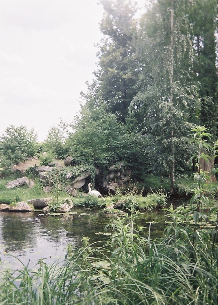 Top 5 des escapades à moins d'une heure de train depuis Paris 16 Escapade à Chantilly- Vues des jardins