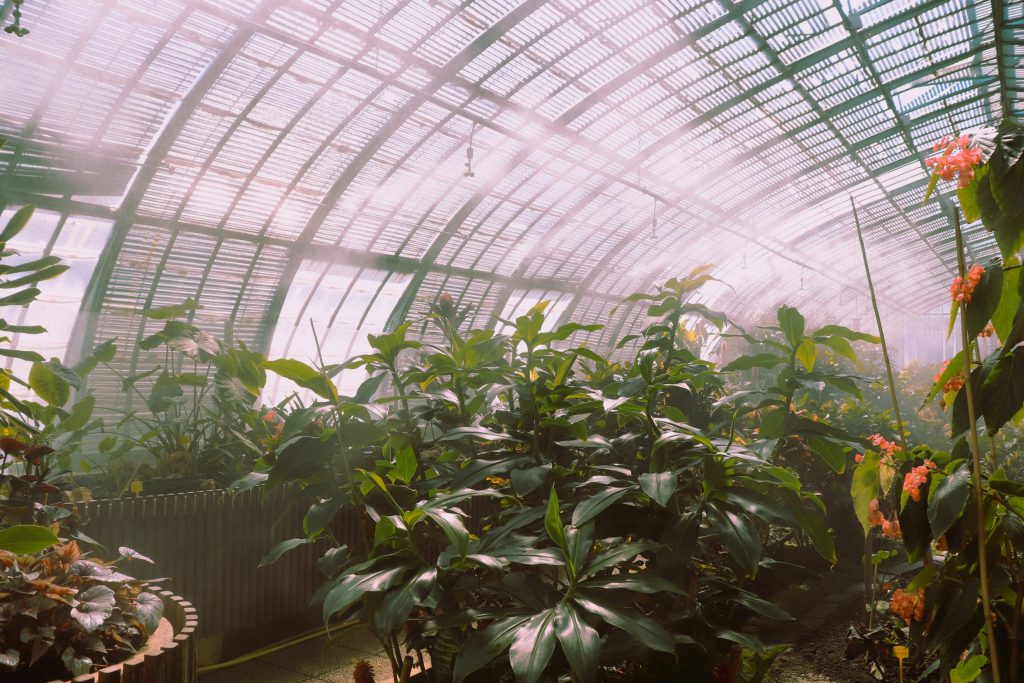 Paris en Février : Le Mois Secret des Amoureux et des Flâneurs. 3 Jardin Botanique Luxuriant à L'intérieur Des Serres D'Auteuil de Paris.