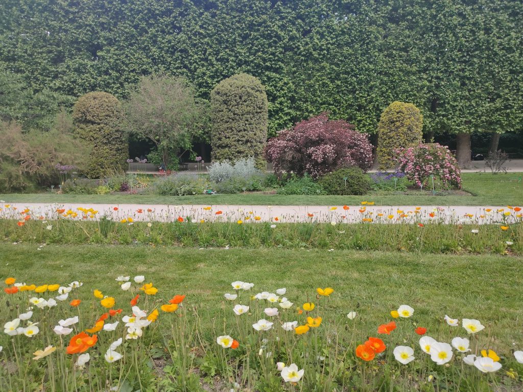 Jardin fleuri avec haies verdoyantes. Jardin des plantes